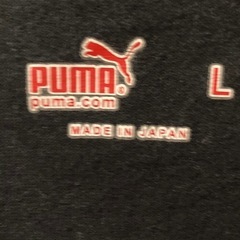 PUMA カラフルストライプロゴ Tシャツ Lサイズの画像
