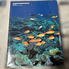 2冊セット海水魚の飼い方 基礎編 田中智浩 1994年の画像