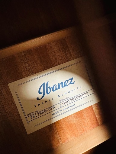 Ibanez PN12MHE OPN (Open Pore Natural)  エレアコ　ニューヨーカータイプ 