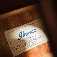Ibanez PN12MHE OPN (Open Pore Natural)  エレアコ　ニューヨーカータイプ の画像