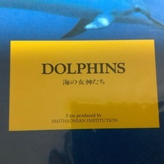 レーザーディスク　DOLPHINS 海の女神たち　スミソニアン学会監修の画像