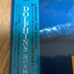 レーザーディスク　DOLPHINS 海の女神たち　スミソニアン学会監修の画像