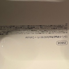 【極美品】iPad Pro 13インチ(M4) 256GB セルラー＋おまけ多数の画像