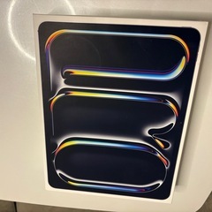 【極美品】iPad Pro 13インチ(M4) 256GB セルラー＋おまけ多数の画像