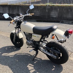 ホンダ　エイプ50  書類付実働ベース車の画像