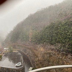 伐採　草刈りなど