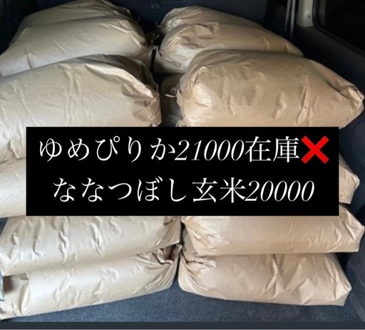 ななつぼし 玄米