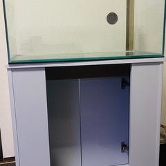 Kotobuki 水槽60cmと水槽台セットの画像
