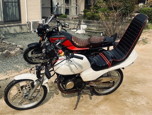 ホンダ スカッシュ 12v､セル付き フルレストア済み 【公式通販】