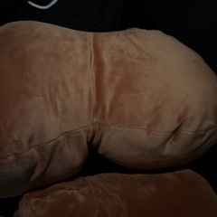 肉 🍖 ぬいぐるみ  骨着脱可能の画像