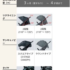 エアバギーココプレミアの画像