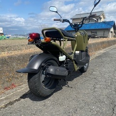 ホンダ　ズーマー 50　動画・写真あり　整備済み！　乗って帰れます　キャブレター　AF58 4スト 　原付　通学　通勤の画像