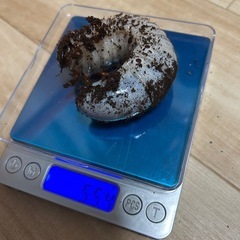 ヘラクレスリッキー　幼虫の画像