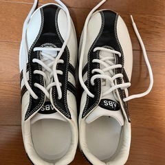 ボウリング、ケース、靴一式の画像