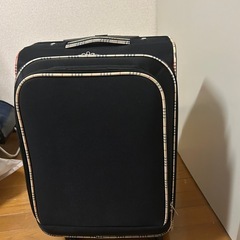 布製のスーツケースです。
の画像