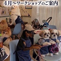 4/11(土) パラコード⭐️お試しワークショップ