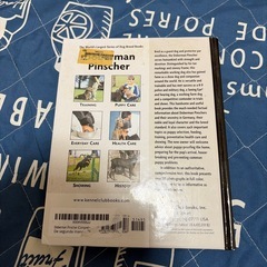 ドーベルマンの画像