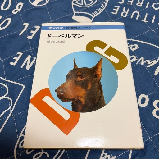 ドーベルマンの飼い方
