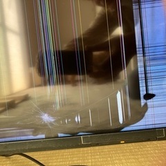 SONY ソニー　55 液晶テレビ　2024年1月購入の画像