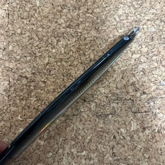 ナムジグ　チョロコーの画像