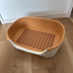 子猫用トイレの画像