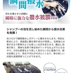 シュアラスターワックスシャンプーの画像