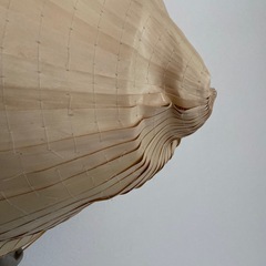 ベトナム笠　　　ねぶた祭りにもの画像