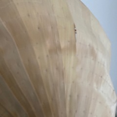 ベトナム笠　　　ねぶた祭りにもの画像