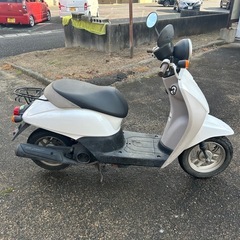 HONDA AF67
トゥデイの画像