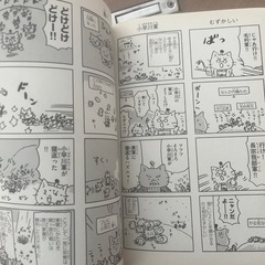 学習書　歴史の画像
