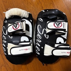 ボクシングミットの画像