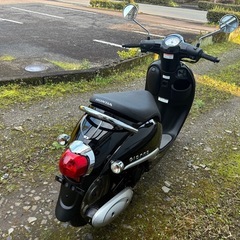 ホンダ原付ジョルノAF77の画像