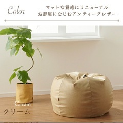 アンティークオニオン170リットル　人をダメにするクッション 特大 の画像