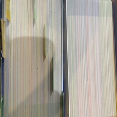 ディズニー英語システム　トークアロングの画像