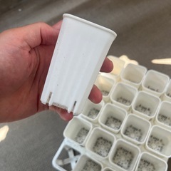 植物ポットの画像