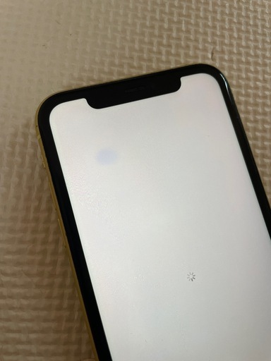 iPhone11 本体