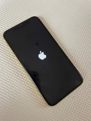 iPhone11 本体