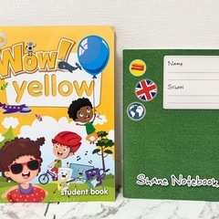 シェーン英会話 英語 教材セット絵本 DVD CD ぬいぐるみ カードの画像