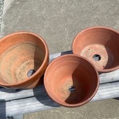 大きめ鉢3個セットの画像