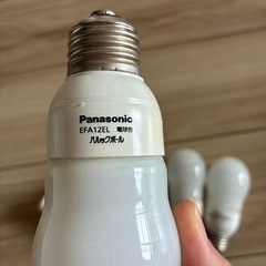 いろんな電球の画像