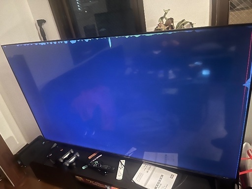 TCL 65型　画面故障