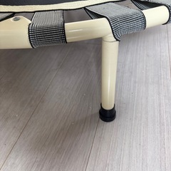 トランポリン♡の画像