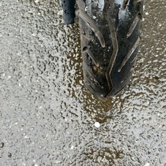 軽整備済み‼️JOG マッドブラック　配送可能　現車確認の画像