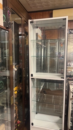 現金のみJAJAN コレクションラック奥行き19