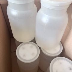 菌糸空ボトル　1100cc×10本セット　クワガタ・カブトムシ用の画像