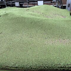 ★★緊急！！★★　廃材ですが・・・人工芝です。の画像