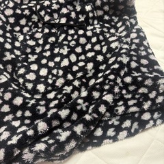 ワンピースの画像