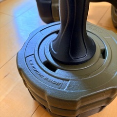 LEADING EDGE ダンベル10kg✖️2の画像