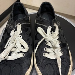 coach スニーカーの画像