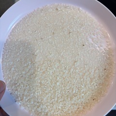 令和7年度産  あいちのかおり 30kg 玄米の画像